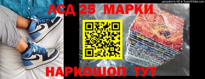 прущие грибы Будённовск