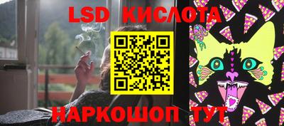 прущие грибы Будённовск