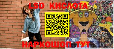 прущие грибы Будённовск