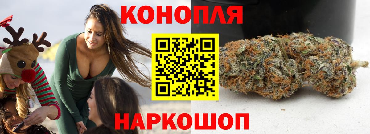Канабис планчик Благовещенск